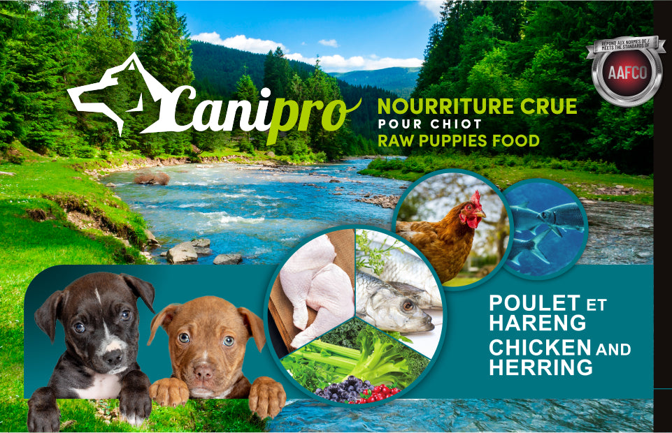 Canipro Formule Chiots, Poulet et Hareng