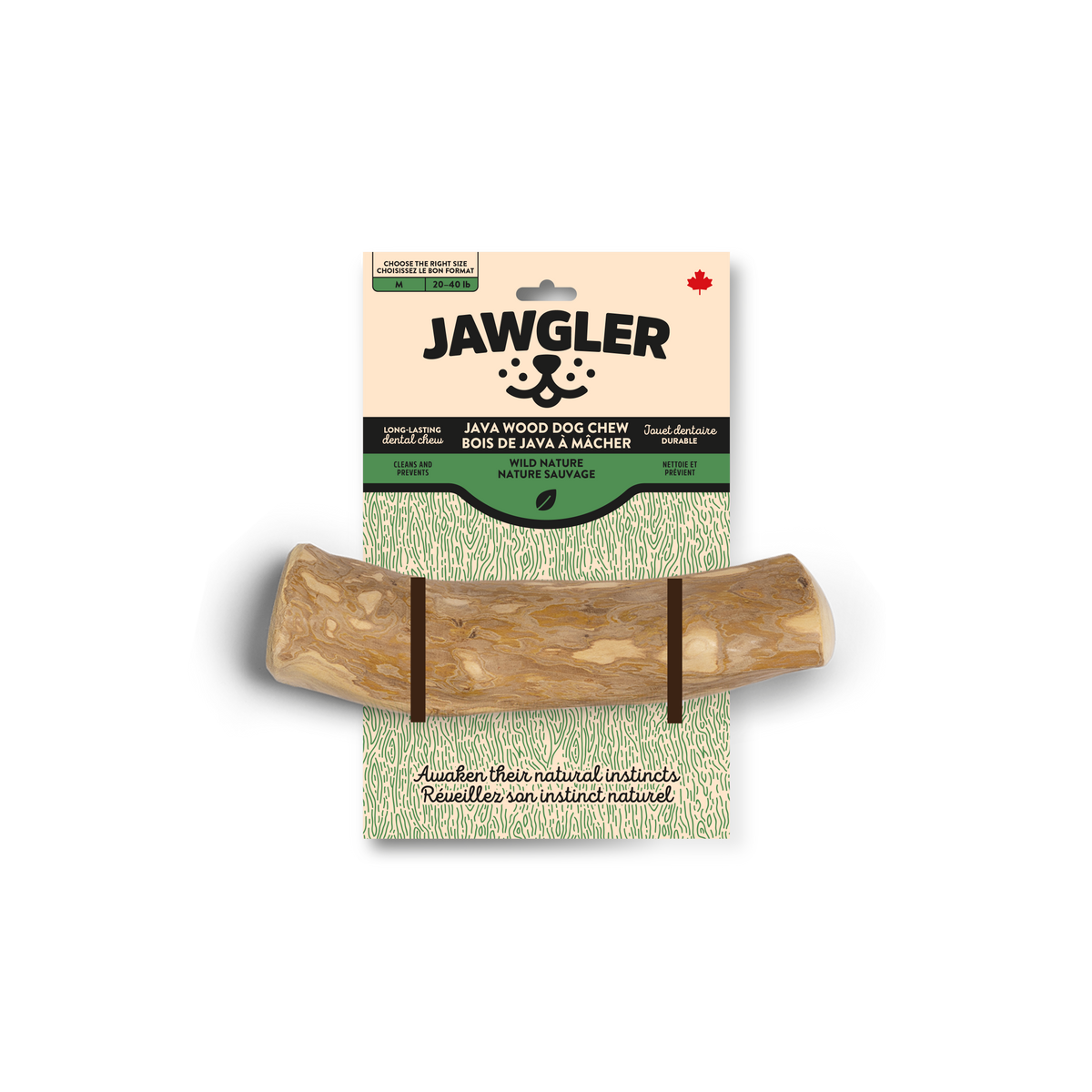 Jawgler Bois De Java - Nature Sauvage