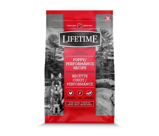 Trouw Nutrition Lifetime Nourriture pour chiot, Performance poulet et avoine