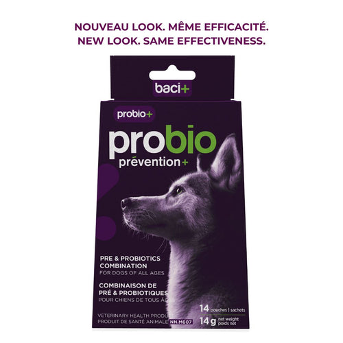 Baci+ – Probio+ pour chien