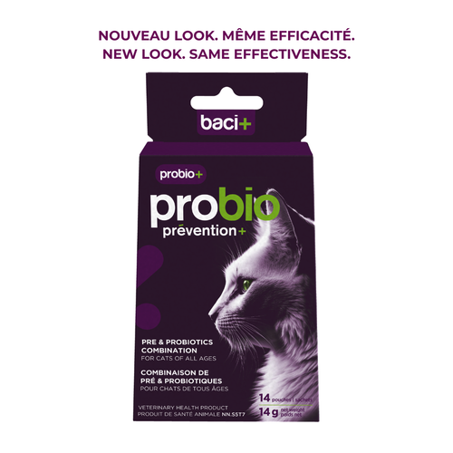 Baci+ – Probio+ pour chat