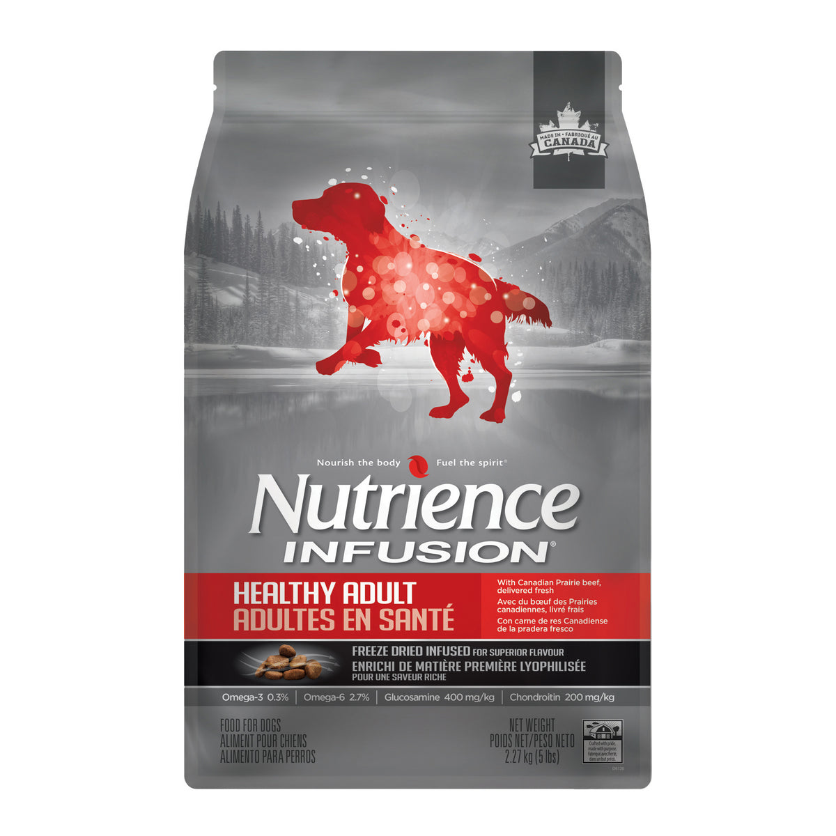 Nutrience Infusion, Chiens Adultes en Santé, Bœuf