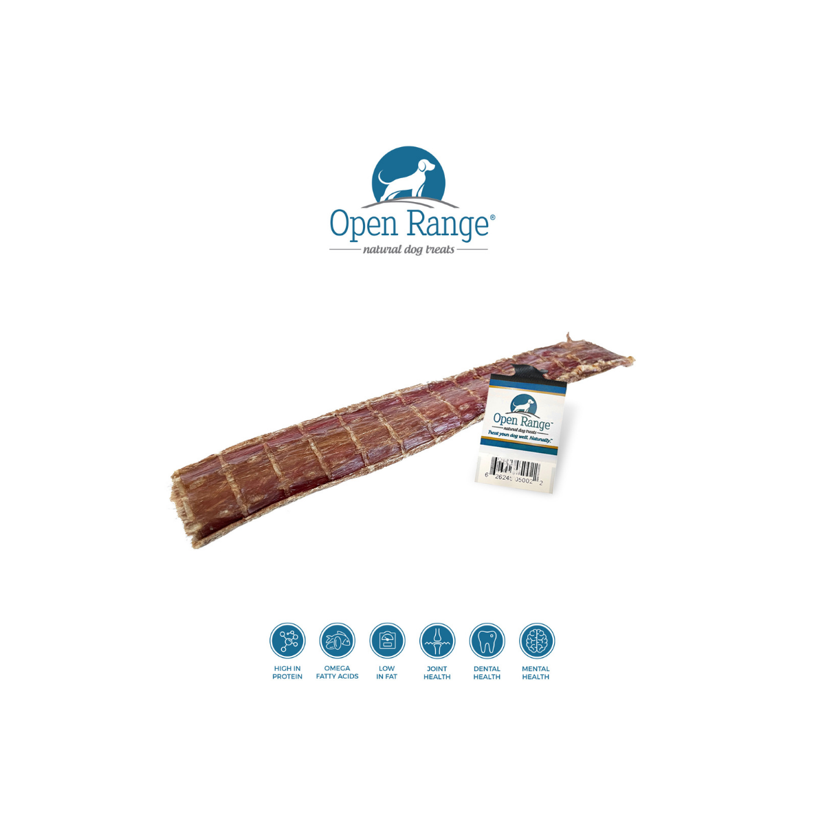 Open Range – Chomper de bœuf aplati pour chien
