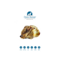 Open Range – Jarret de bœuf fumé pour chien