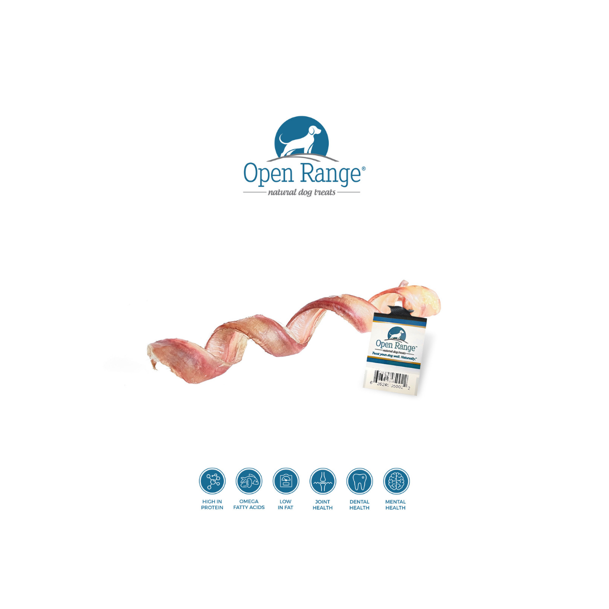 Open Range – Bully spring pour chien