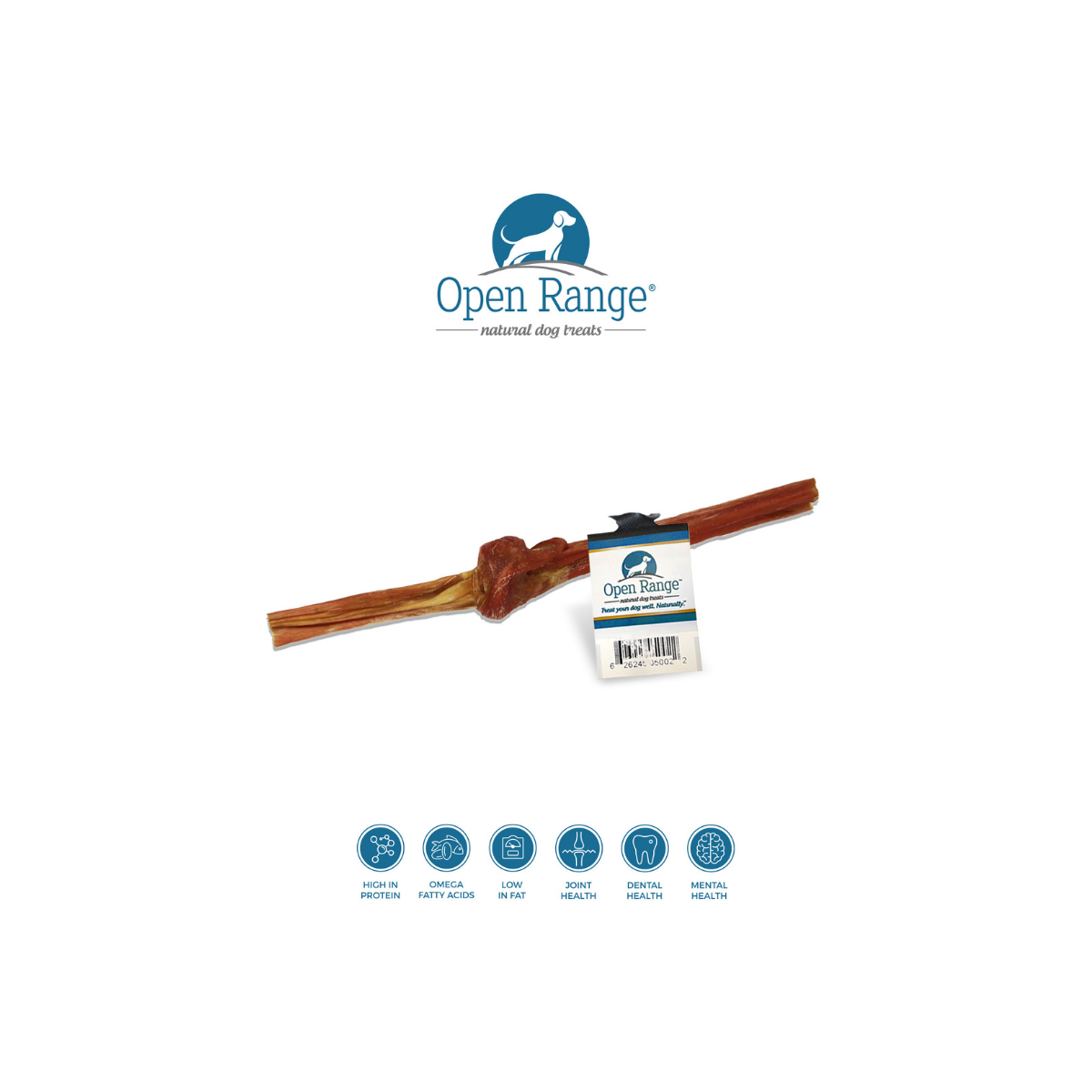 Open Range – Bâton de vessie de bœuf pour chien