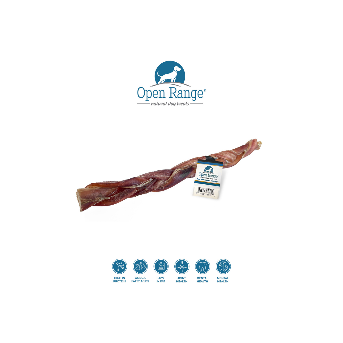 Open Range – Bully tressé pour chien