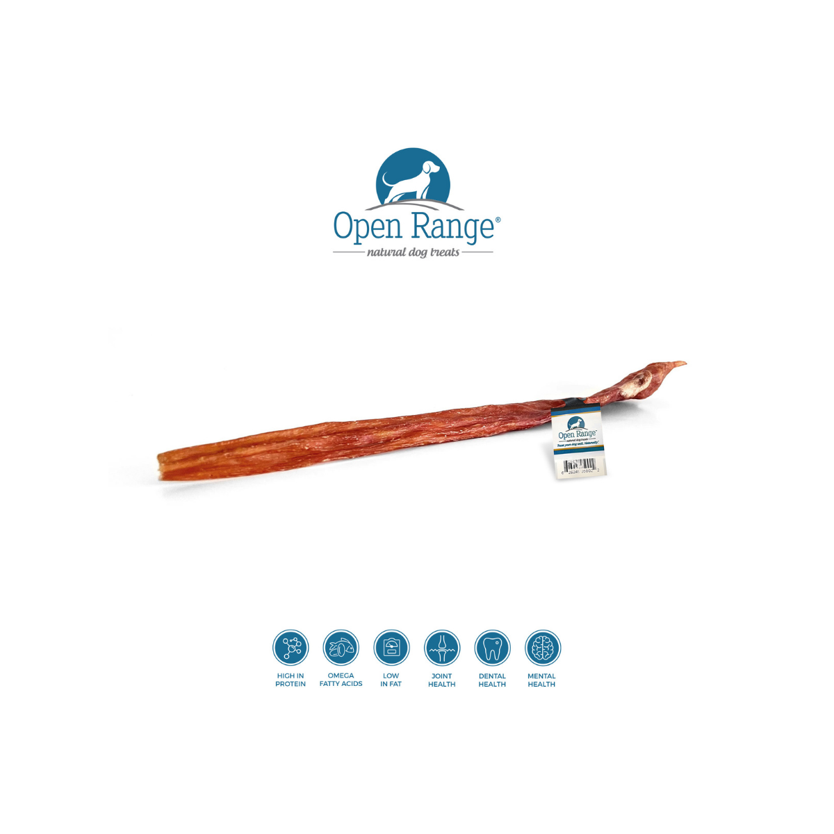 Open Range – Bâton à rapporter Fursbee pour chien