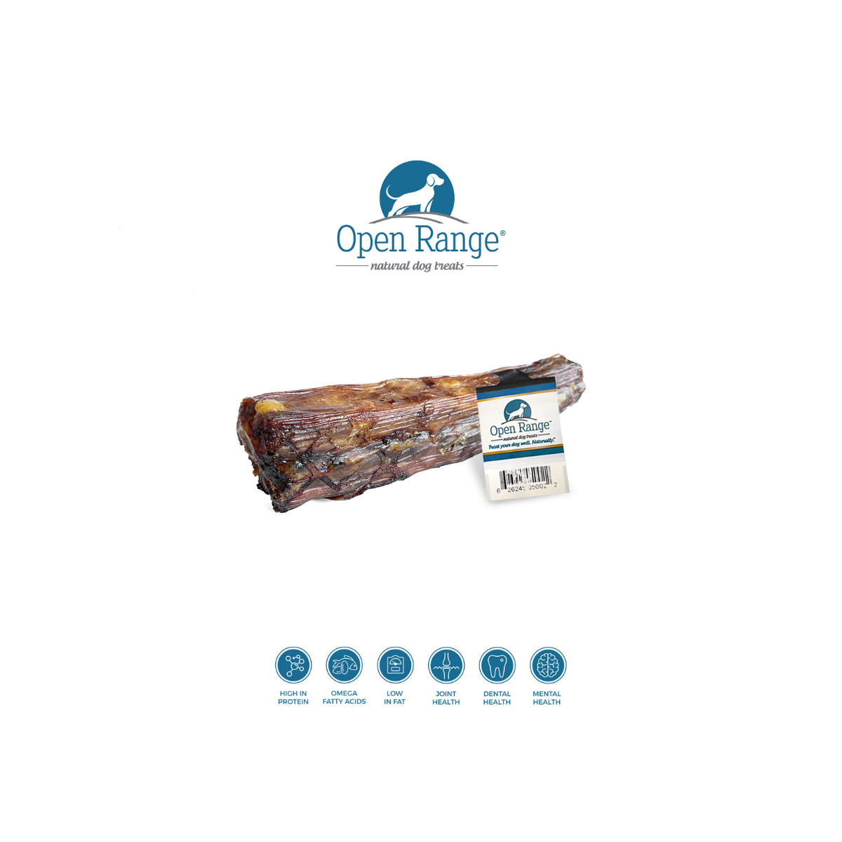 Open Range – Queue de kangourou pour chien