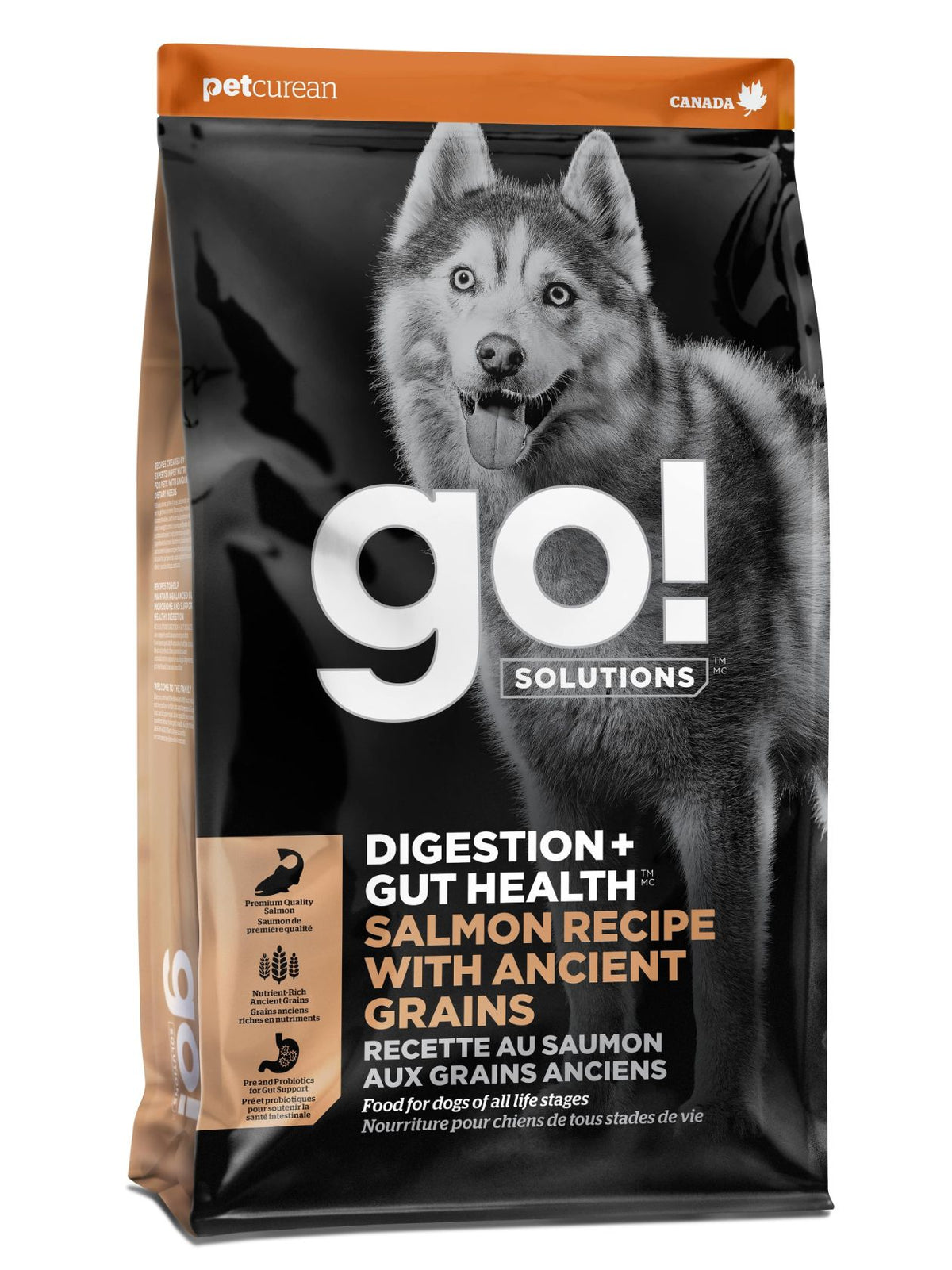 Go! Digestion + Santé Intestinale Aux Grains Anciens Nourriture Pour Chien Saumon