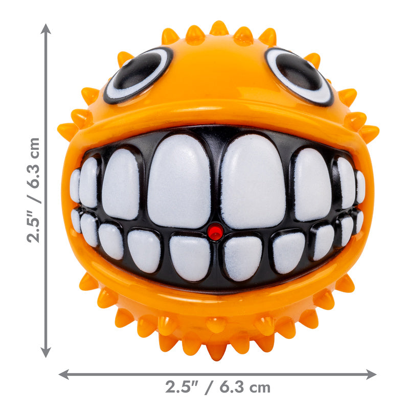KONG Grinz Poisson-Globe pour chien