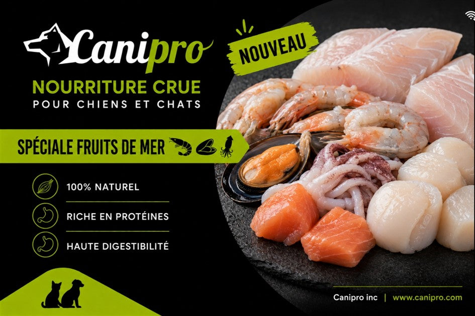 Canipro Fruits de Mer Pour Chien (Recette Occasionnelle)