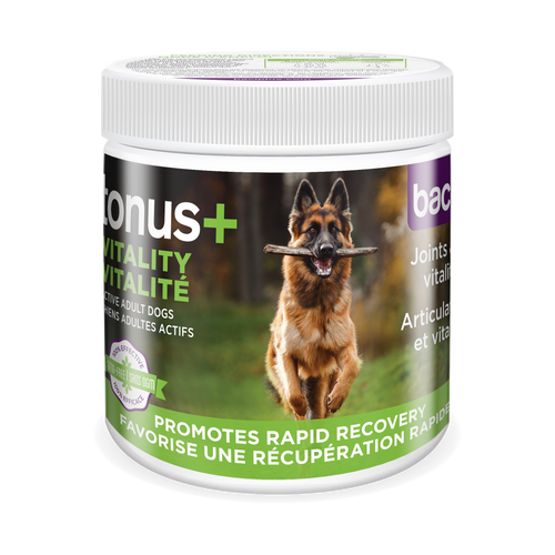 Baci+ – Tonus+ vitalité pour chien et chat