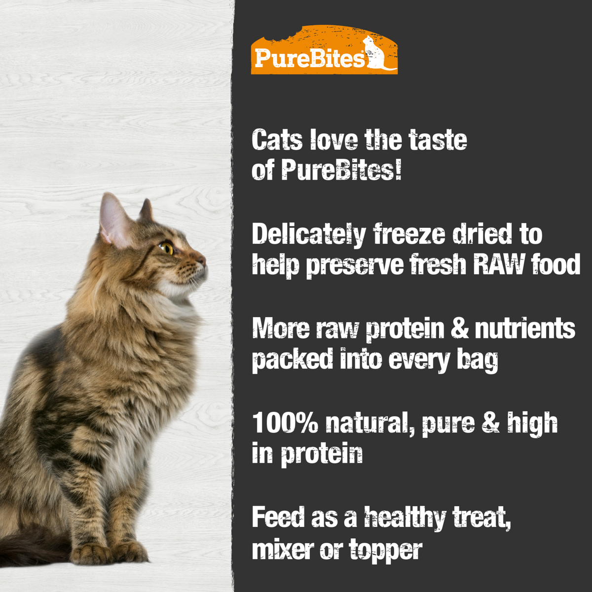 PureBites chat canard