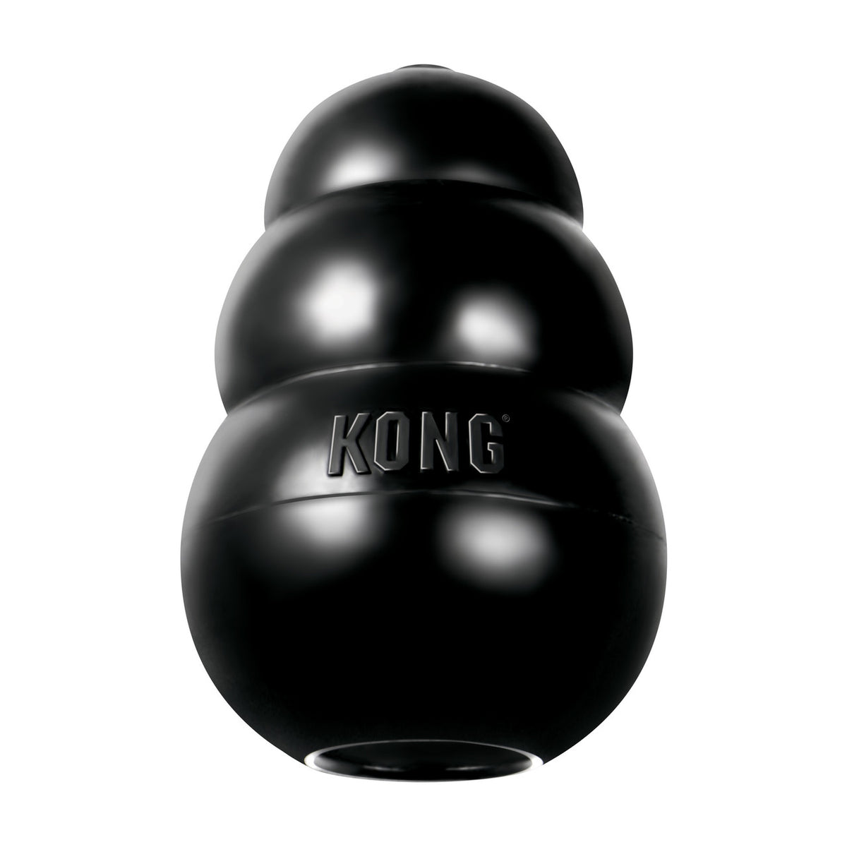 KONG Extrême pour chien