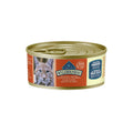 Blue Buffalo Wilderness Chat Adulte Recette de Dinde