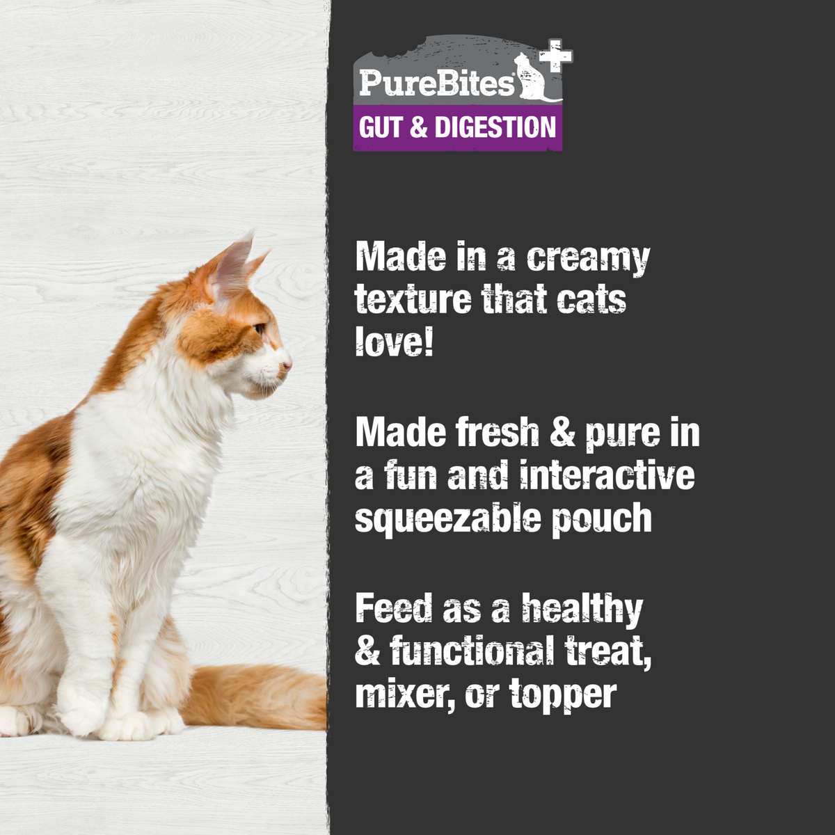 PureBites+ chat crémeux intestin