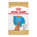 Royal Canin Caniche Chiot – Nourriture sèche pour chien