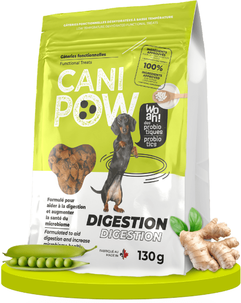 Cani Pow Gâteries Fonctionnelles Pour Chien - Digestion 130 g