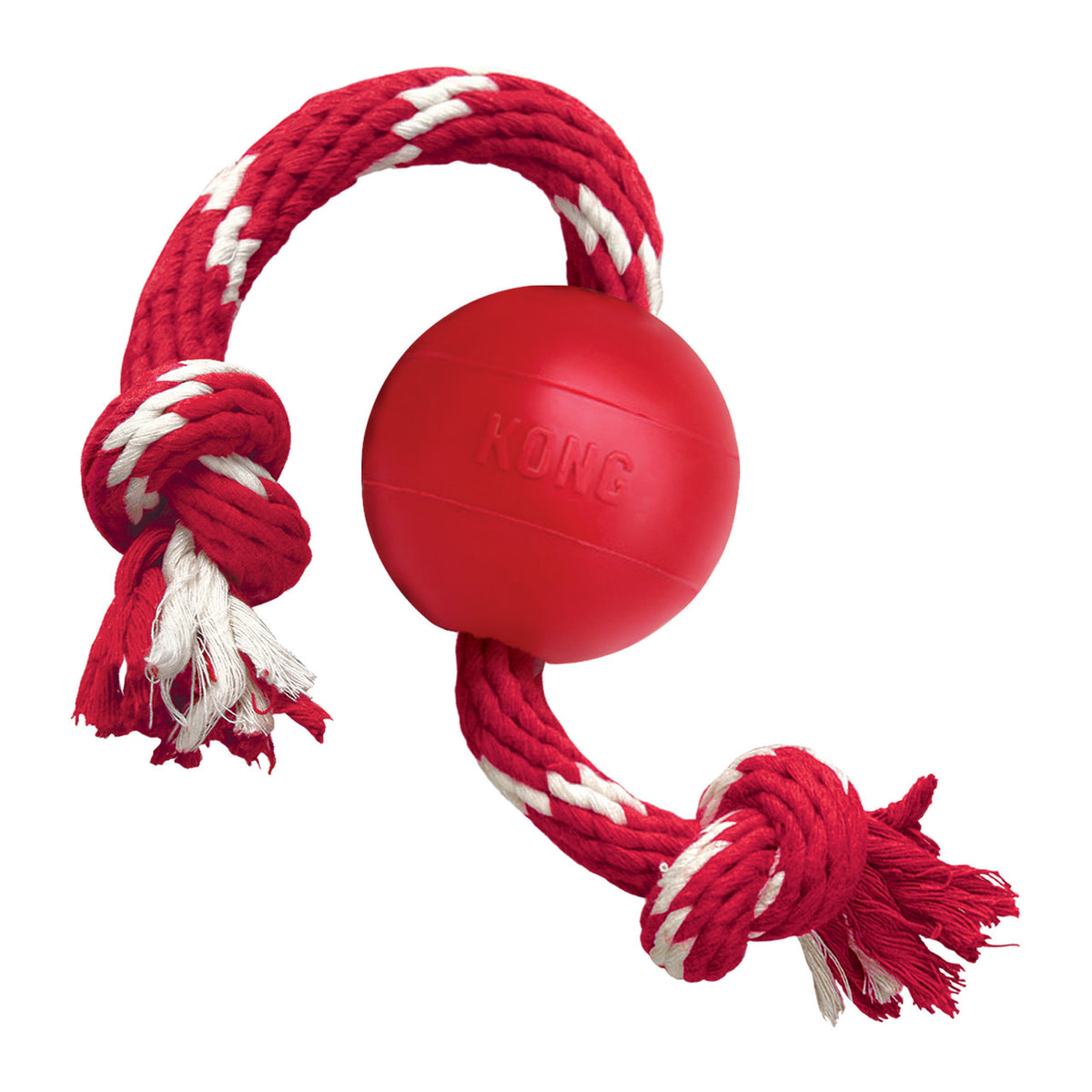 KONG Balle avec Corde pour chien