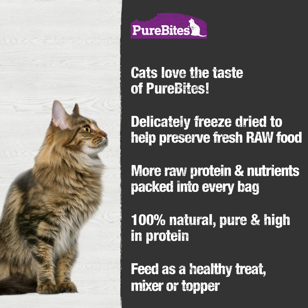 PureBites chat poisson blanc