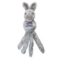 KONG « Wubba Friend » pour chien