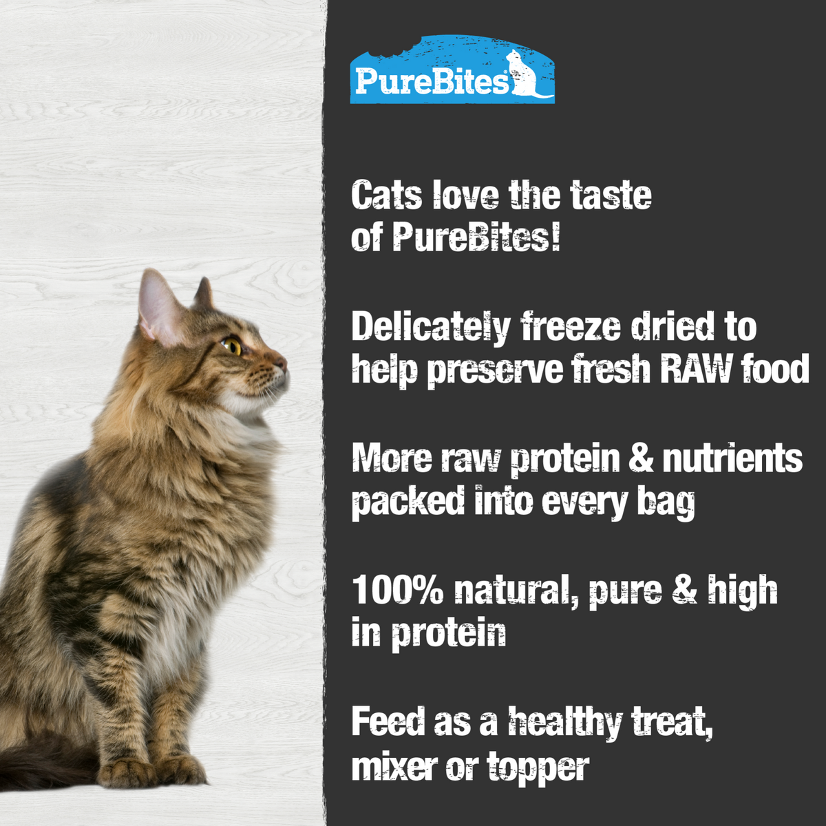 PureBites chat thon