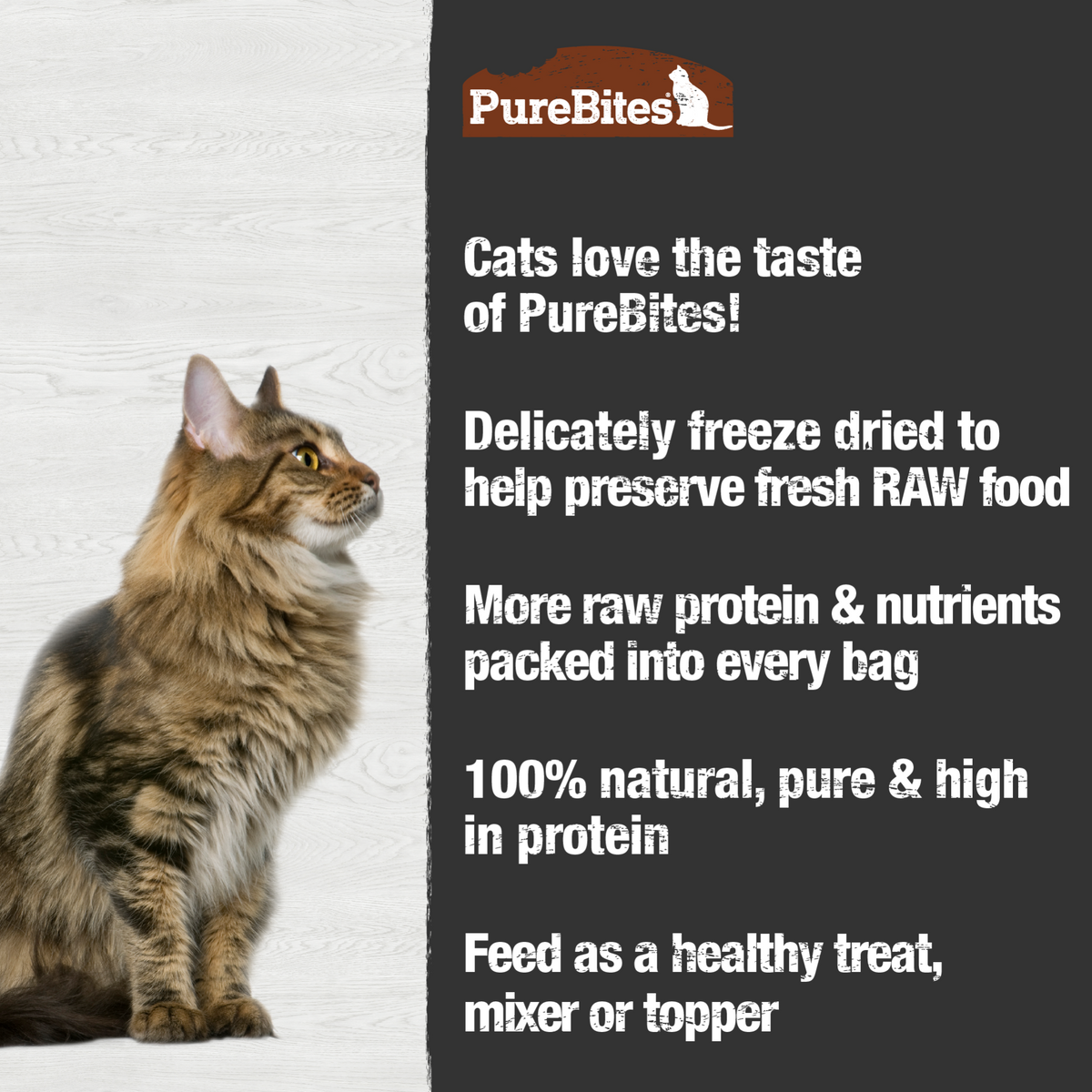 PureBites chat dinde