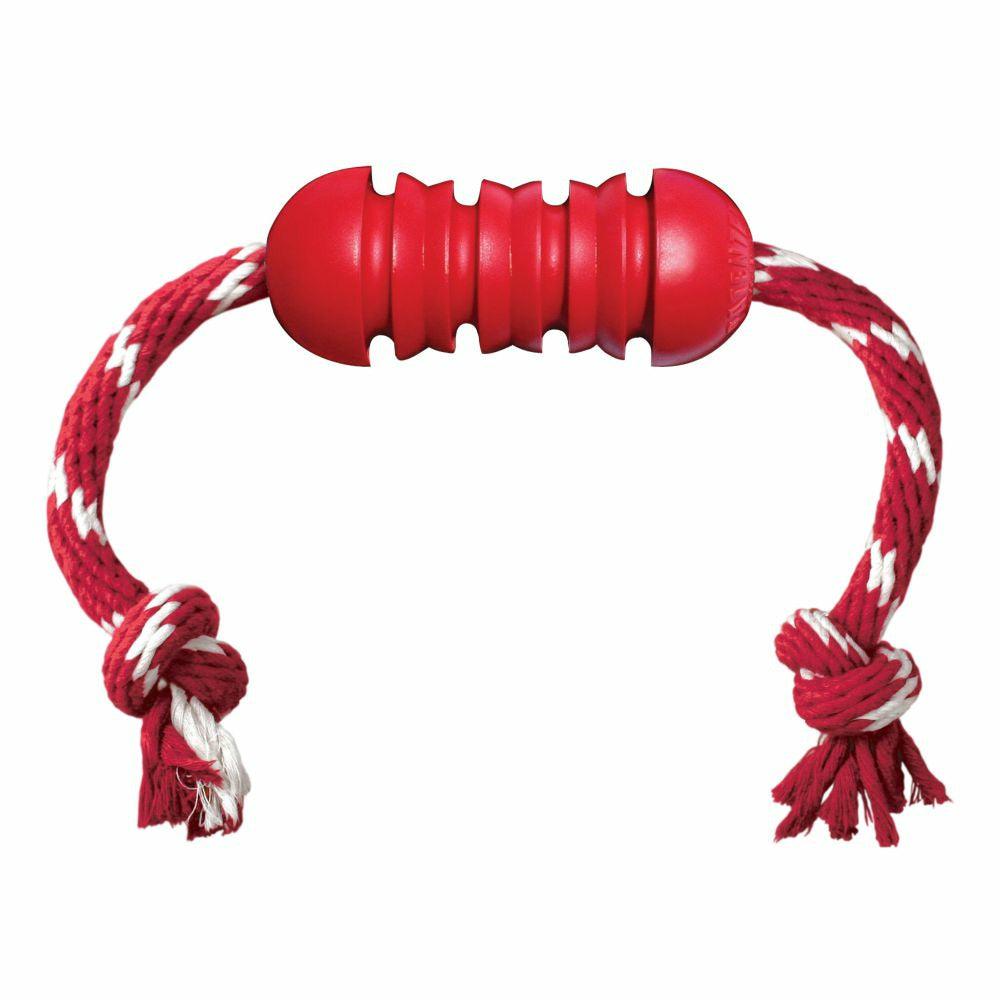 KONG Dentaire avec Corde pour chien
