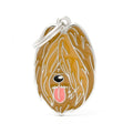 MyFamily Médaille Briard