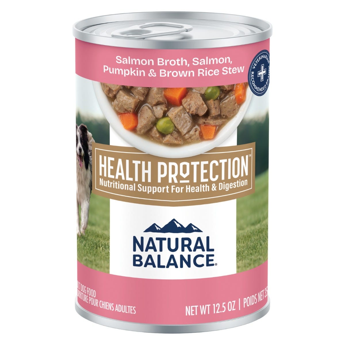 Natural Balance Health Protection Ragoût de Saumon & Citrouille pour chien