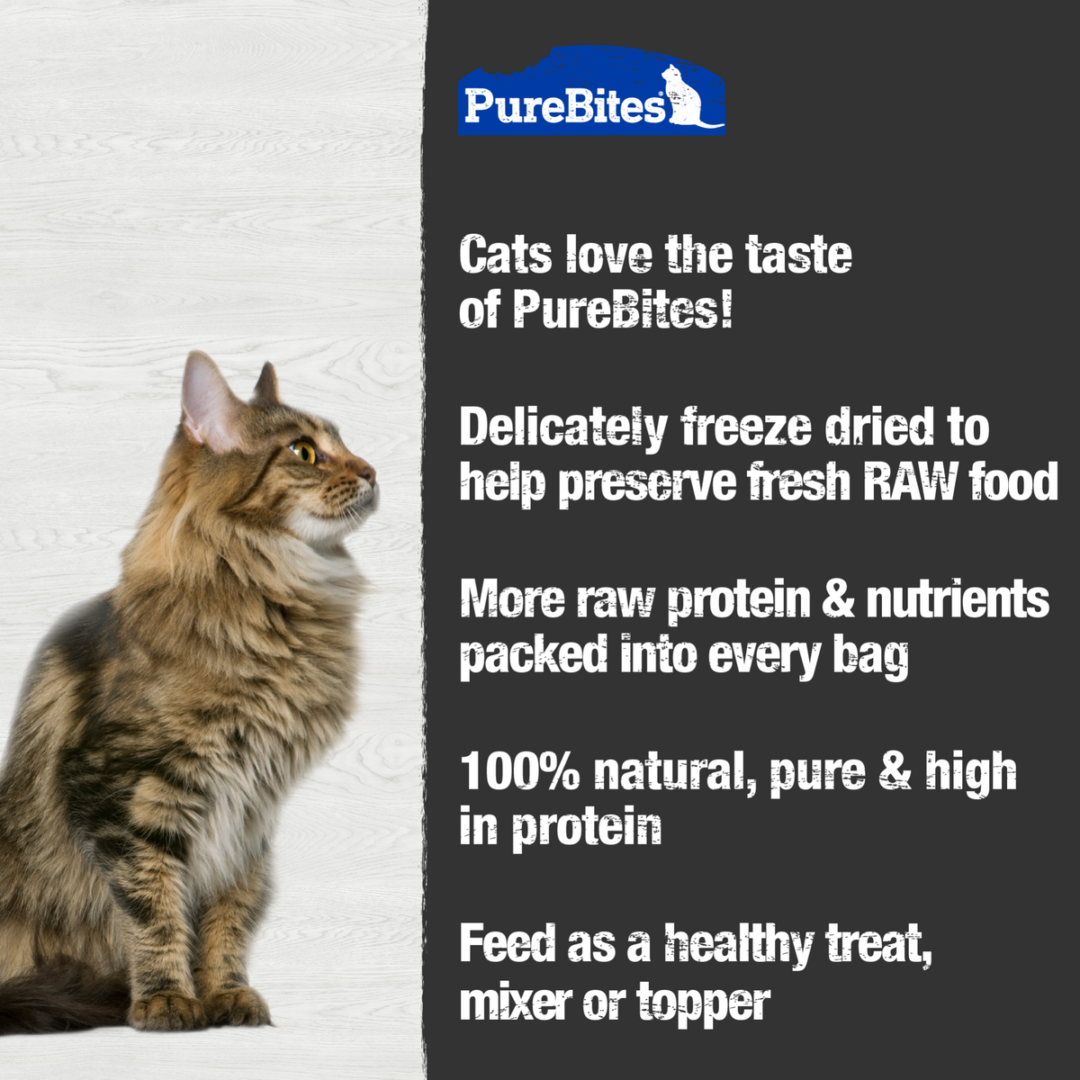 PureBites chat mélange océan