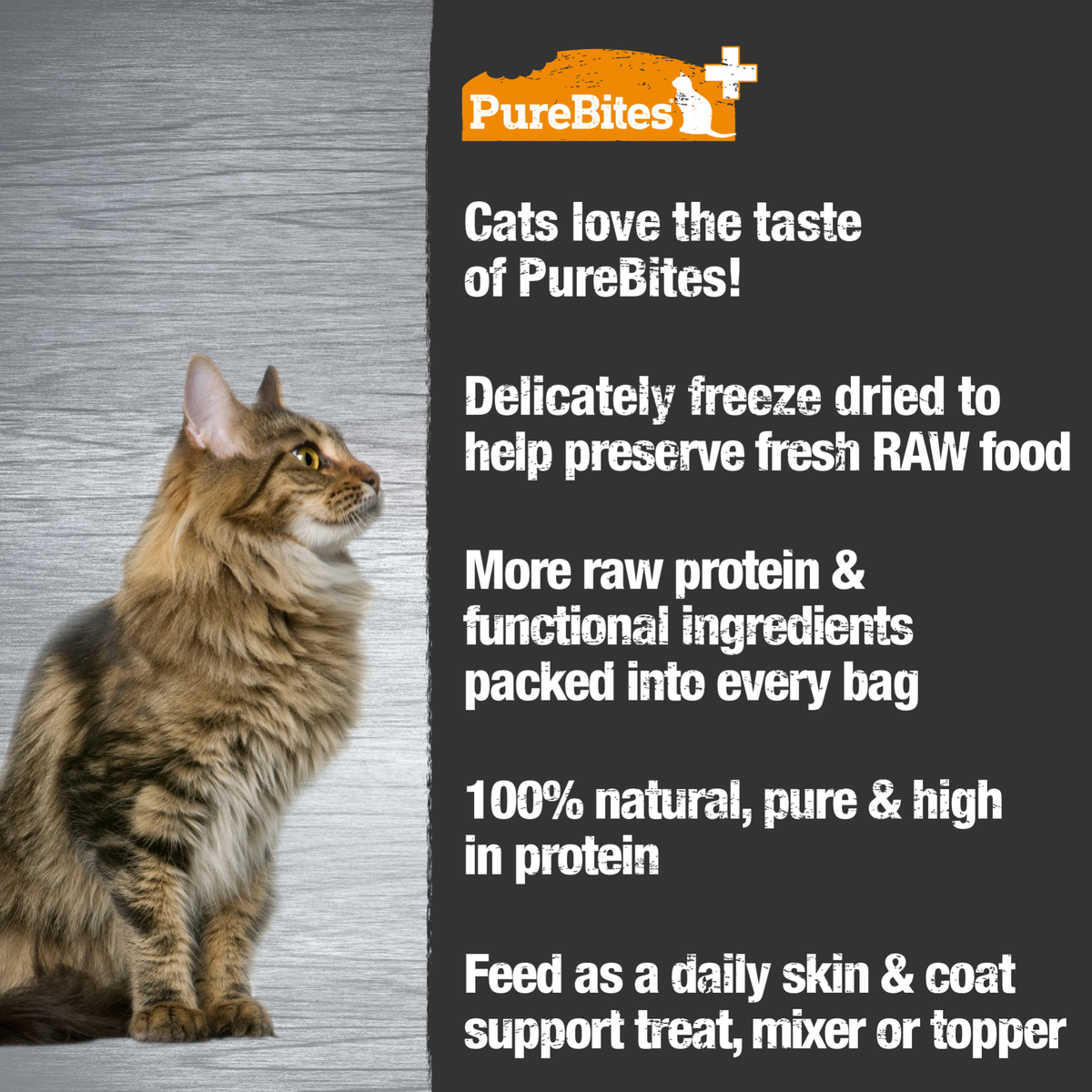 PureBites+ chat peau & pelage