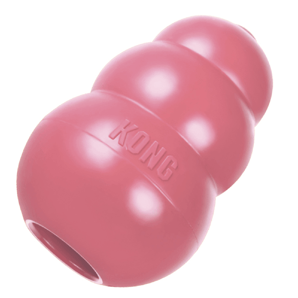 KONG Chiot