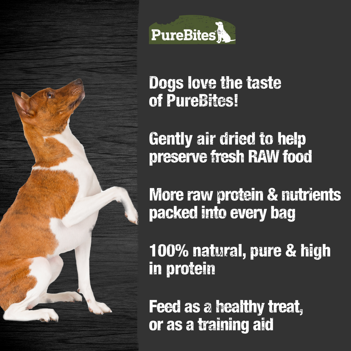 PureBites chien jerky de boeuf