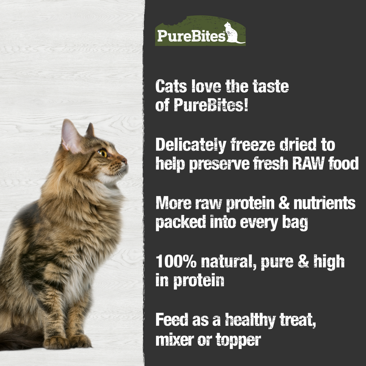 PureBites chat boeuf