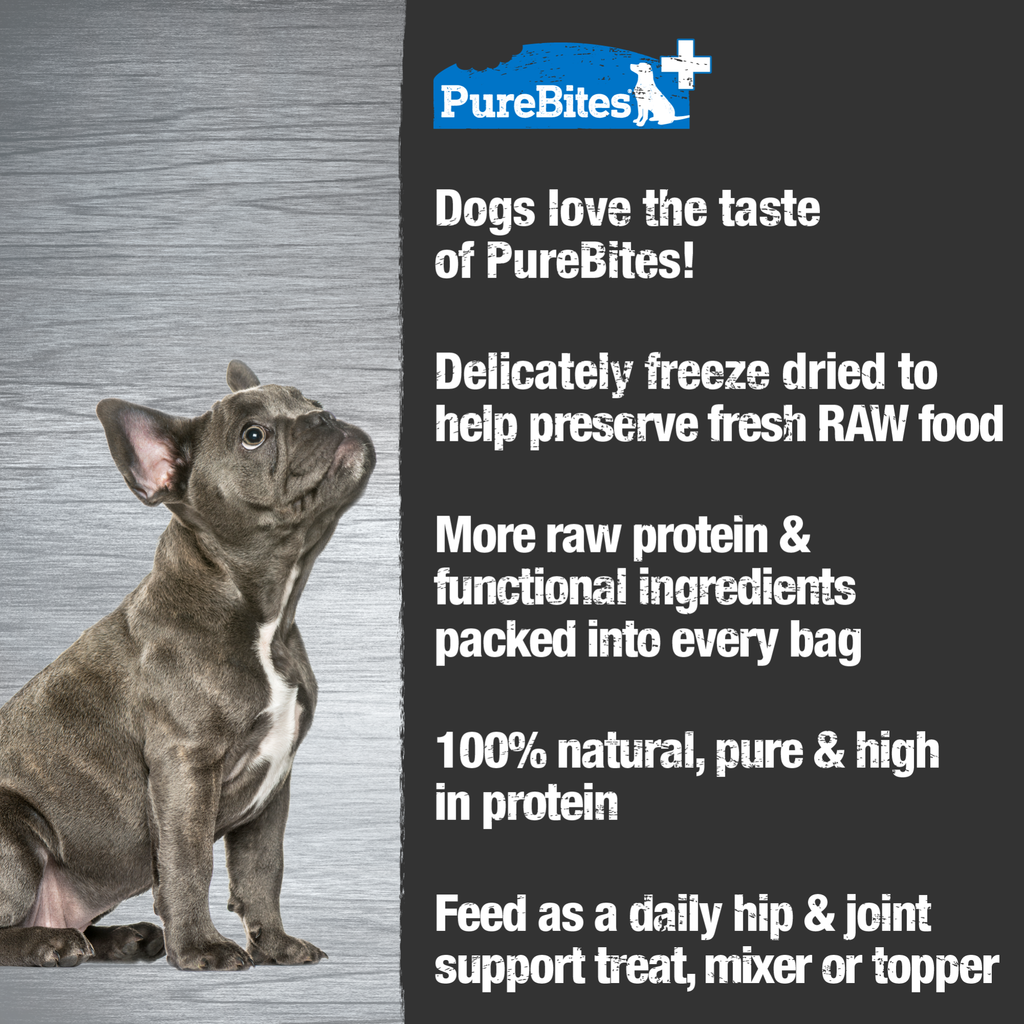 PureBites+ chien articulations