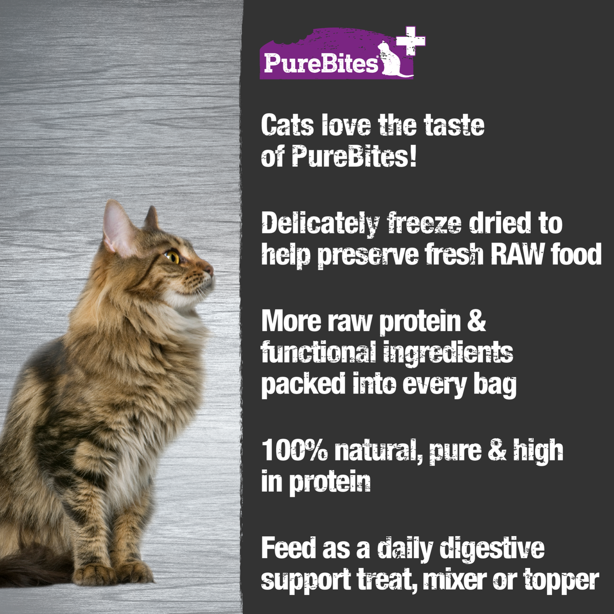 PureBites+ chat intestin & digestion