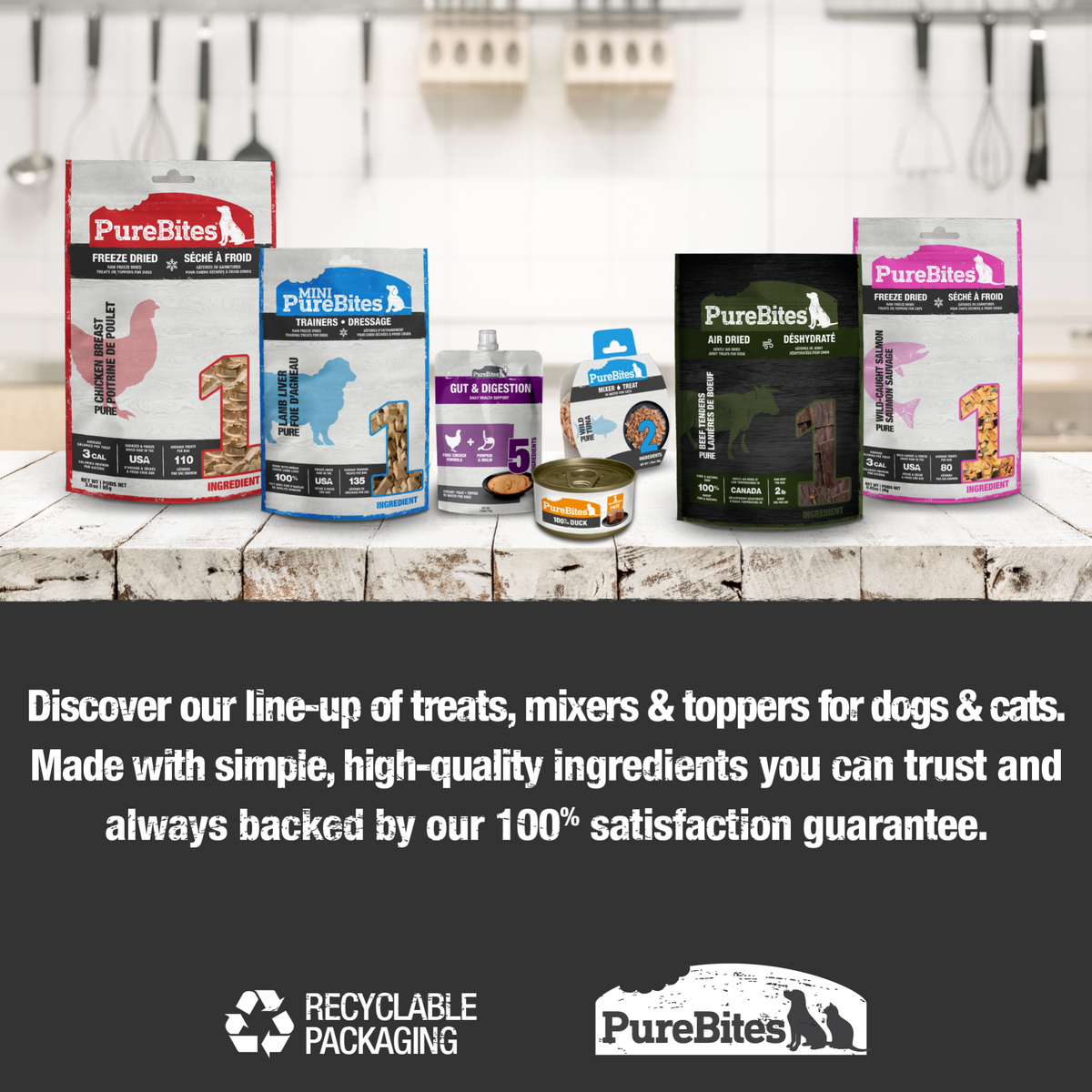 PureBites chat mélange océan