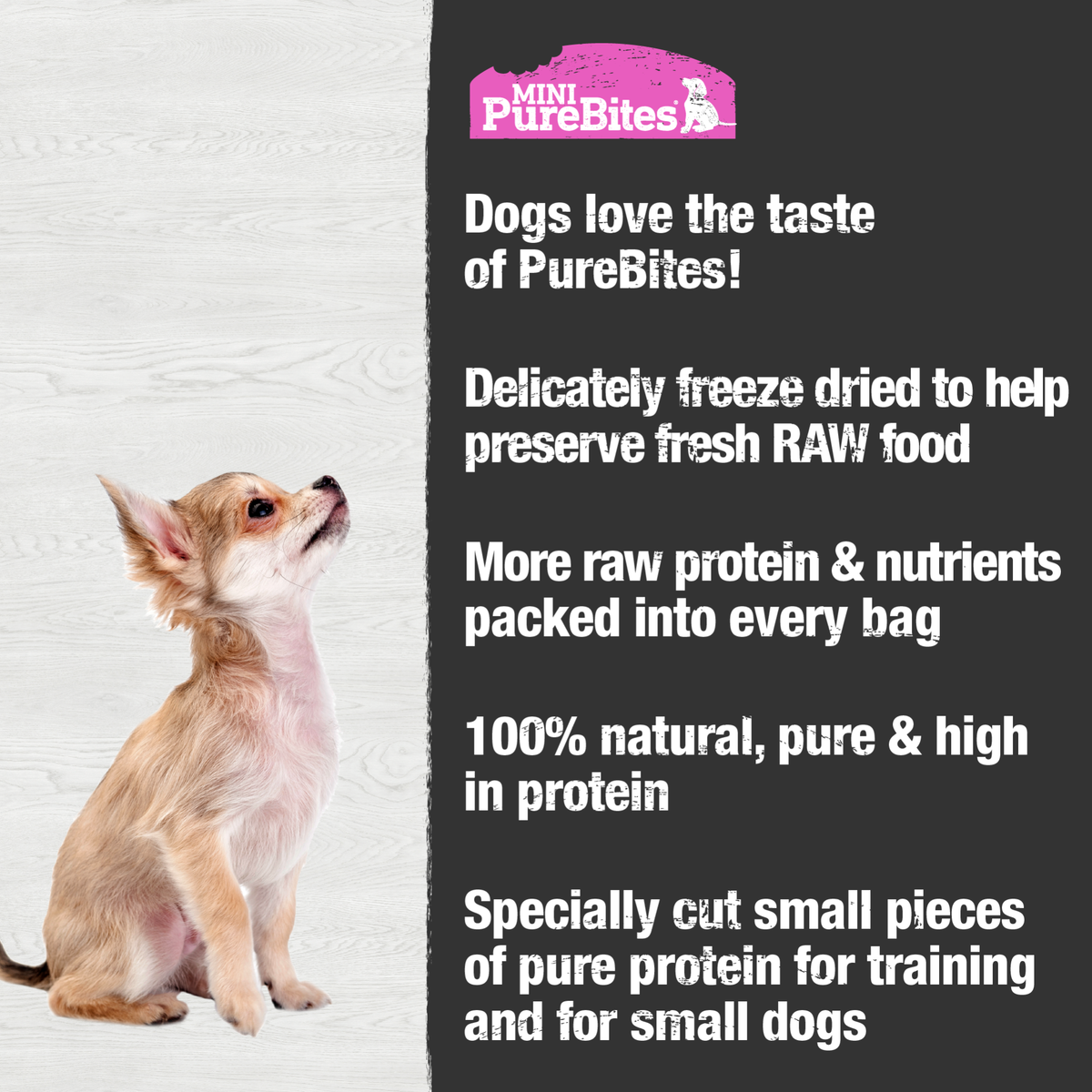 PureBites chien mini trainer saumon