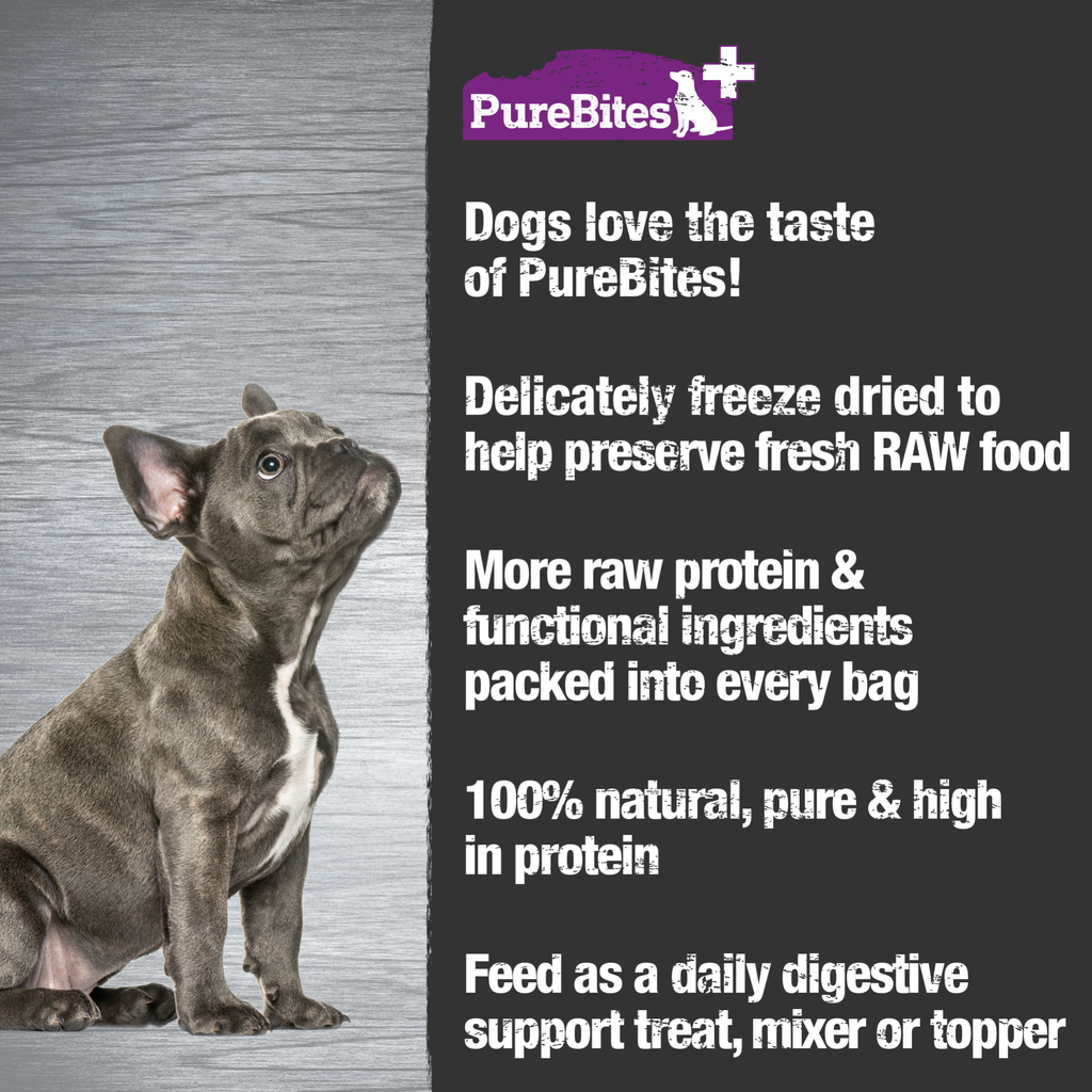 PureBites+ chien intestin & digestion